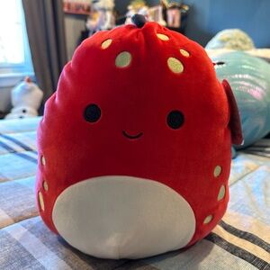 Squishmallow Dolan (small)